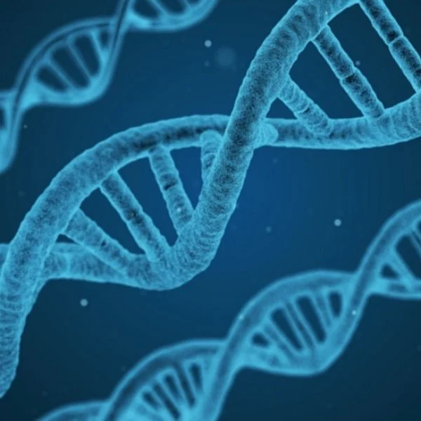 DNA