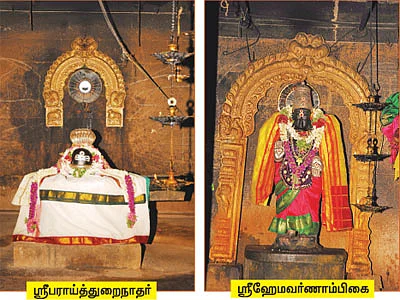 ஆரோக்கியம் அருளும் ஆலய விருட்சங்கள்!