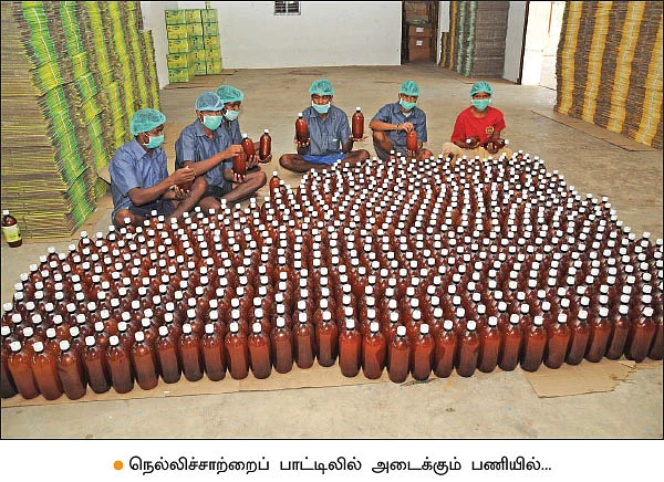அன்று 10 ஏக்கர்... இன்று 200 ஏக்கர்! - மதிப்புக்கூட்டல் ‘நெல்லி’யில் மகத்தான வெற்றி!