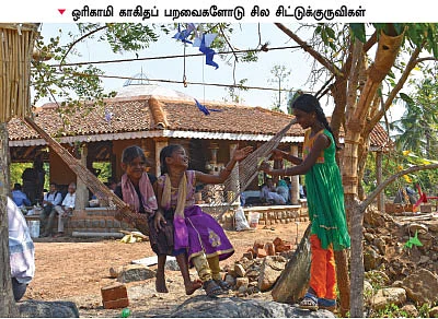 குழந்தைகளுக்காகக் காத்திருக்கும் குயில் கூடு!