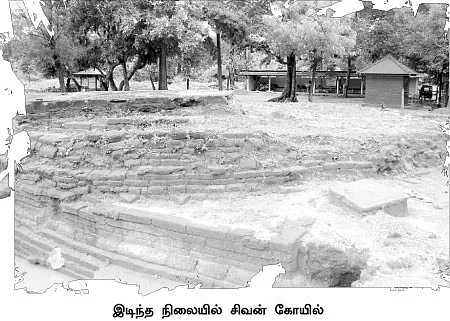 புலித்தடம் தேடி...