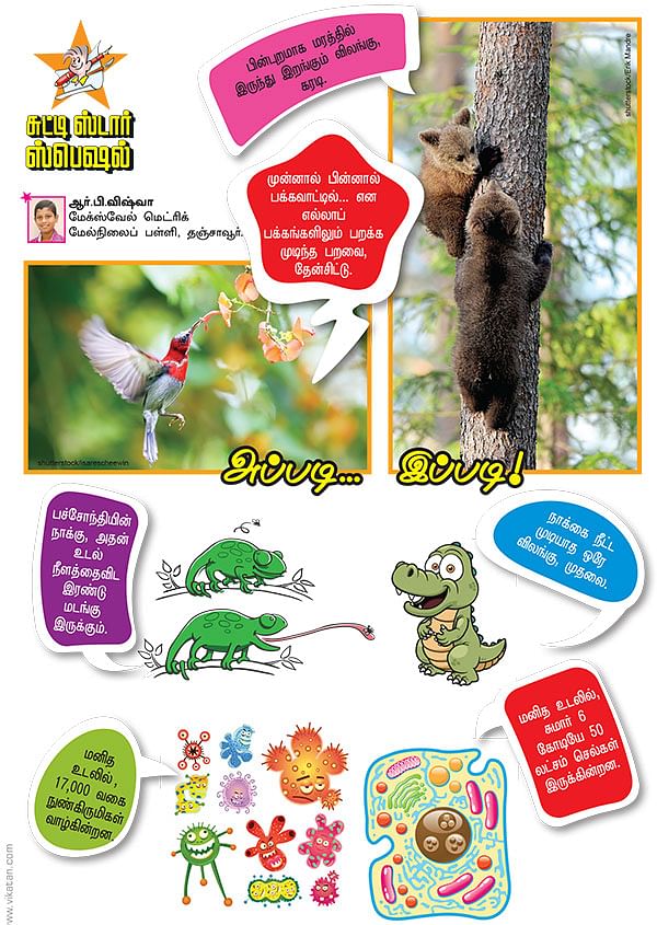 அப்படி... இப்படி!