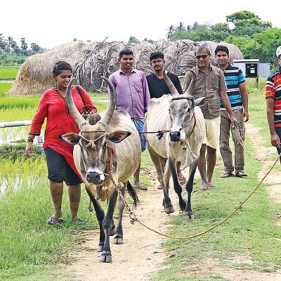 ஒரு நாள் விவசாயி! பருவம்-2