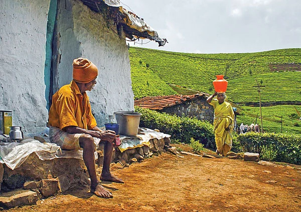 ஆண்பால் பெண்பால் அன்பால் - 8