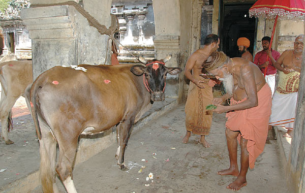 காலன் வழிபட்ட காலகாலன்!
