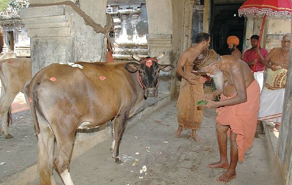காலன் வழிபட்ட காலகாலன்!