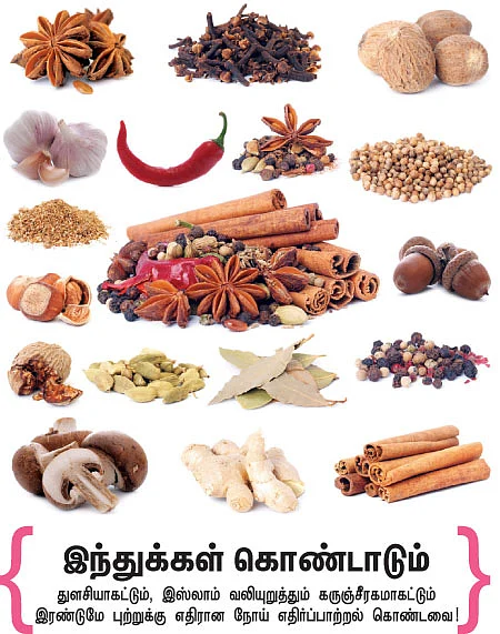 ஆறாம் திணை - 25