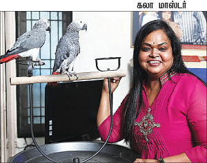 கேபிள் கலாட்டா!