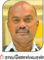 1 டன் ரூ 1 கோடி... செம்மரம் வளர்ப்பில் சிக்கல் உண்டா?