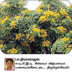 சுட்டி ஸ்டார் நியூஸ்...