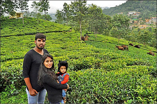 சென்னை to கோத்தகிரி - கோத்தகிரியில் கேத்தரின் அருவிக்குப் போலாமா?