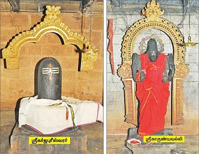 ஆரோக்கியம் அருளும் ஆலய விருட்சங்கள்!