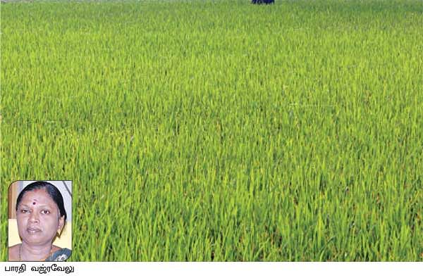 நீங்கள் கேட்டவை