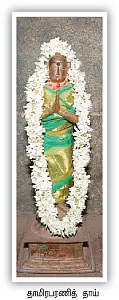 நெல்லுக்கு வேலியிட்ட இறைவன்!