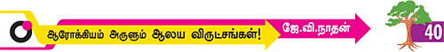 ஆரோக்கியம் அருளும் ஆலய விருட்சங்கள்!