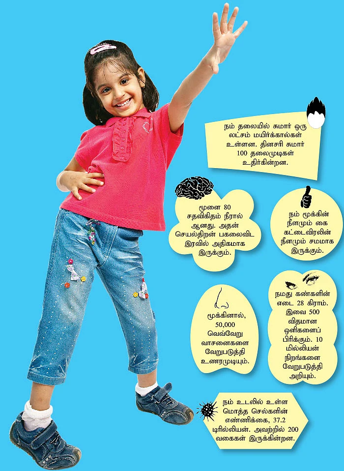 வாவ் அதிசயங்கள்!