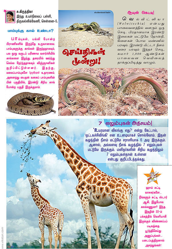 செய்திகள் மூன்று!