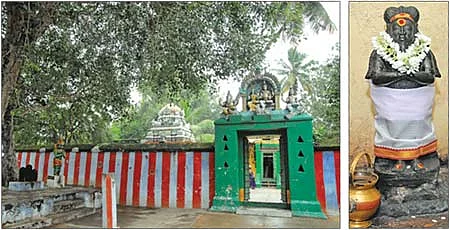 ஆரோக்கியம் அருளும் ஆலய விருட்சங்கள்!