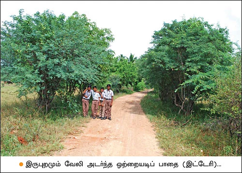 கால்நடைகளுக்குத் தீவனம்... நிலத்துக்கு உரம்... உயிர்ச்சூழலை உருவாக்கும் உயிர்வேலிகள்!