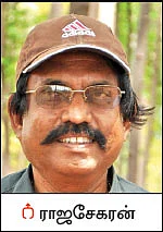 மூங்கில் சாகுபடி... வந்தது சட்டத்திருத்தம்!