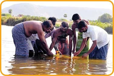 தாமிரபரணிக்குப் பிறந்த நாள் !