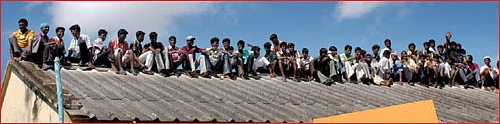 பங்குப் பரிந்துரை