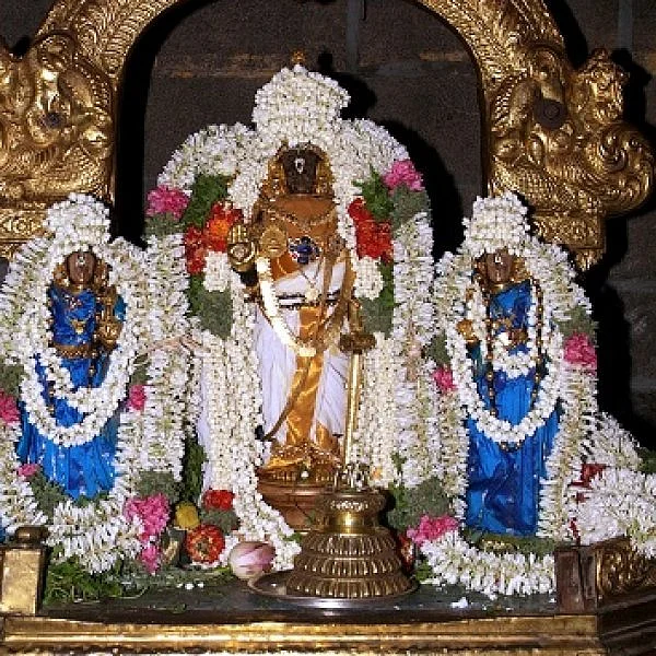 திருவல்லிக்கேணி பார்த்தசாரதி கோயில் வைகுண்ட ஏகாதசி திருவிழா நிகழ்ச்சிகள்!