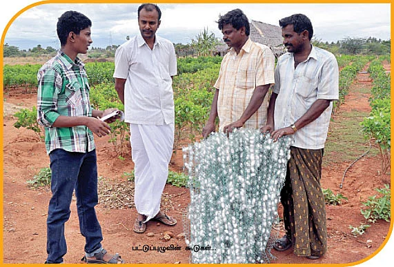 தத்தித் தத்தி வரும் பட்டுப் புழுக்கள் !