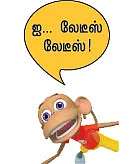 த்ரீ ரோசஸ்...