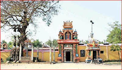 தேவாரத் திருவுலா!