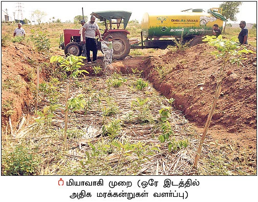 பசுமைப் பணியில் திண்டி மா வனம்!