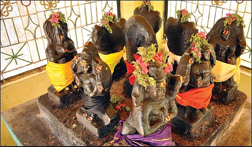 வழிபாட்டில் பசுக்களுக்கு மட்டும் சிறப்பு ஏன்?