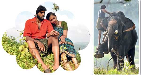 சக்சஸ் சீக்ரெட் சொல்லிக் கொடுத்தாங்க ரஜினி, கமல்!