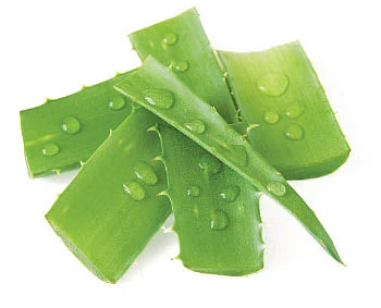 'அம்மா மகப்பேறு சஞ்சீவி பெட்டகம்'...
