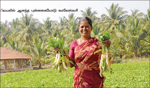 சுழற்சி முறையில் காய்கறி... - 1 ஏக்கர் நிலத்தில் ரூ5 லட்சம் லாபம்!
