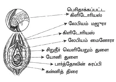 அந்தப்புரம் - 7