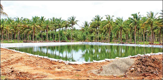 மழைநீர் அறுவடை... மானியம் கொடுக்கும் அரசு!
