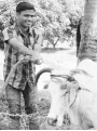 ஒரு நாள் விவசாயி
