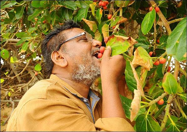 நத்தையின் பாதை - 10 - செதுக்குகலையும் வெறியாட்டும் - ஜெயமோகன்