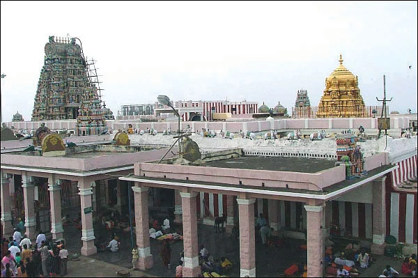 நாரதர் உலா - தீர்வு கிடைக்குமா பக்தர்களுக்கு?
