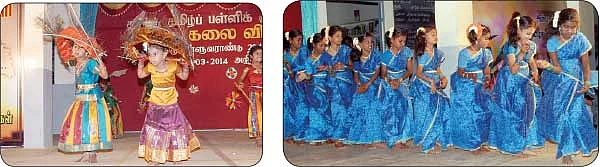 சின்னப் பாட்டிதோட்டத்திலே சிவப்புத் தக்காளி !
