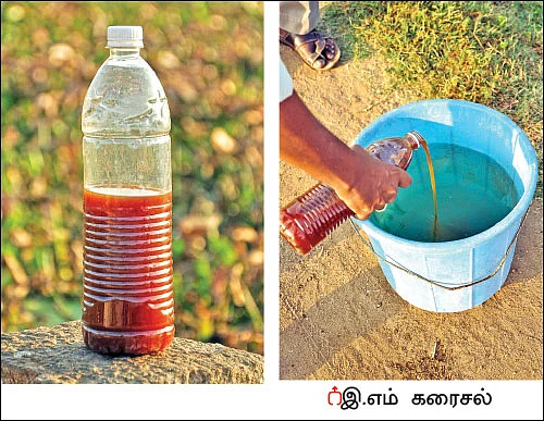 சின்னச் சின்ன நுண்ணுயிர்கள் பெரிய பெரிய லாபம்! - உதவிக்கு வரும் உயிரியல்