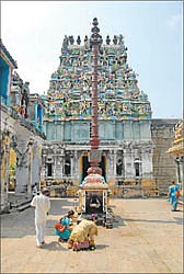ஆரோக்கியம் அருளும் ஆலய விருட்சங்கள்!