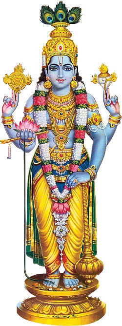 ஸ்ரீ கிருஷ்ண தரிசனம்!