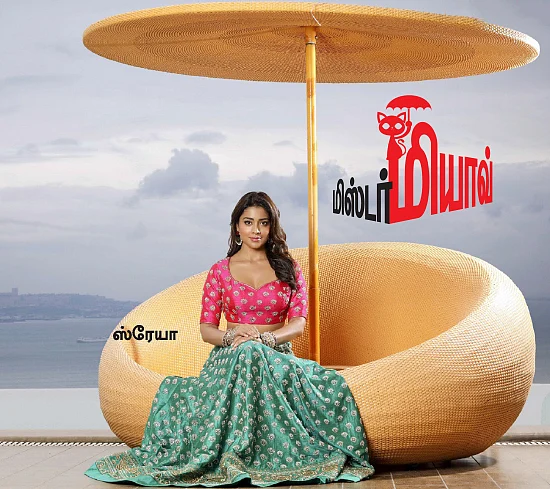 மிஸ்டர் மியாவ்