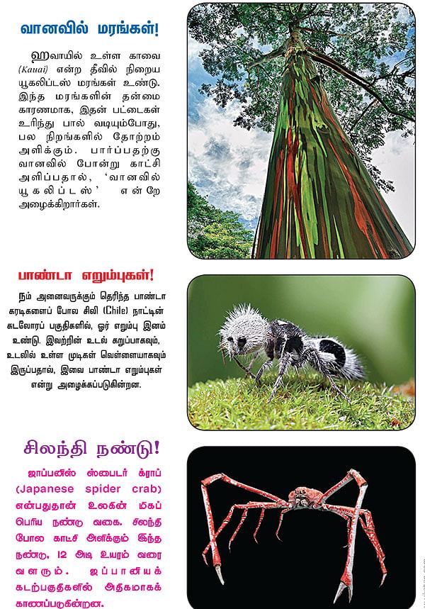 ஊதா கலரு தண்ணீ...