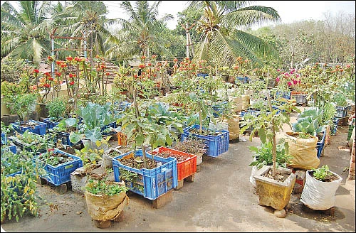 தண்டோரா