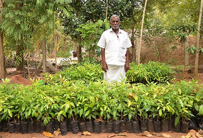 பத்து ஏக்கரில் பசுமைத்தோட்டம்... - அழிக்கத் துடிக்கும் எமன்!