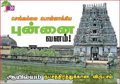 ஆரோக்கியம் அருளும் ஆலய விருட்சங்கள்!
