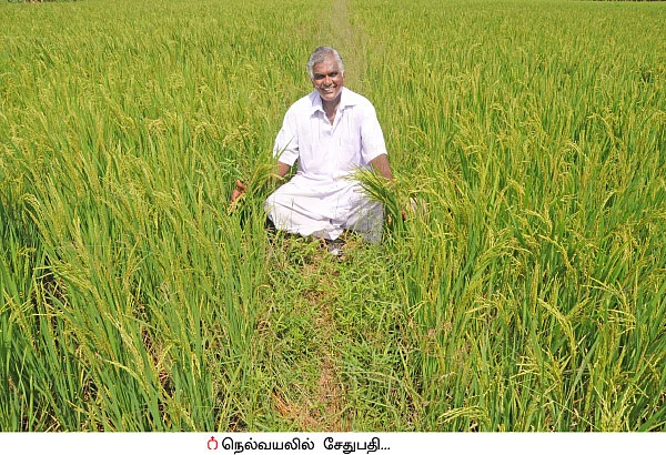 பஞ்சகவ்யா - 9